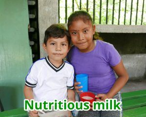 Nutritious milk gift